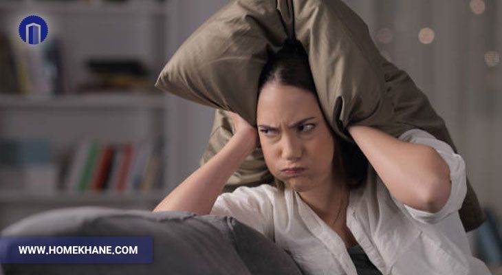 چرا چرخ گوشت صدای زیادی دارد؟