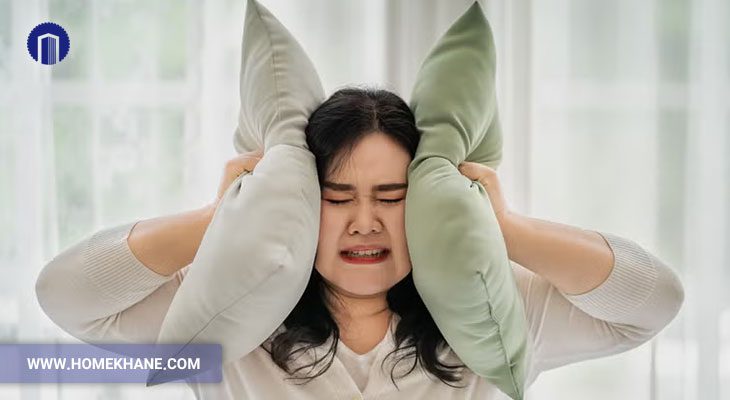 چرا چرخ گوشت صدای زیادی دارد؟