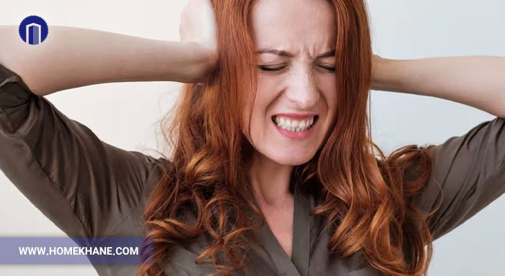 چرا چرخ گوشت صدای زیادی دارد؟