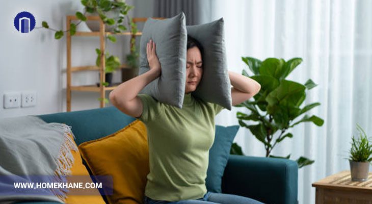 چرا چرخ گوشت صدای زیادی دارد